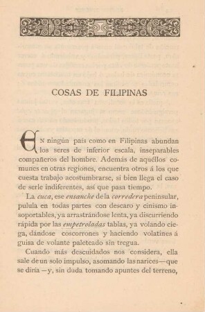 Cosas de Filipinas