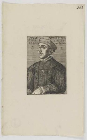 Bildnis des Wolff Pömer