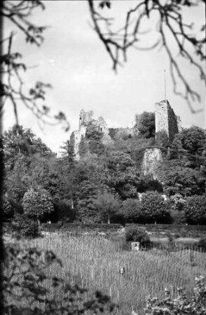 Badenweiler: Burg, allein