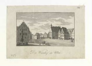 Weinhof nach Süden. 1825