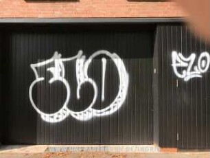 ELO