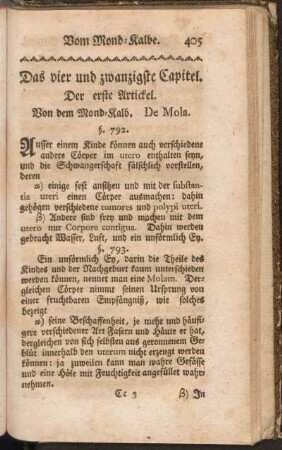 Das vier und zwanzigste Capitel