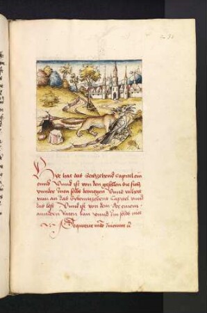 Der Fuchs ergreift die Vogelfrau; (Kapitel XVI: Von den Vögeln).