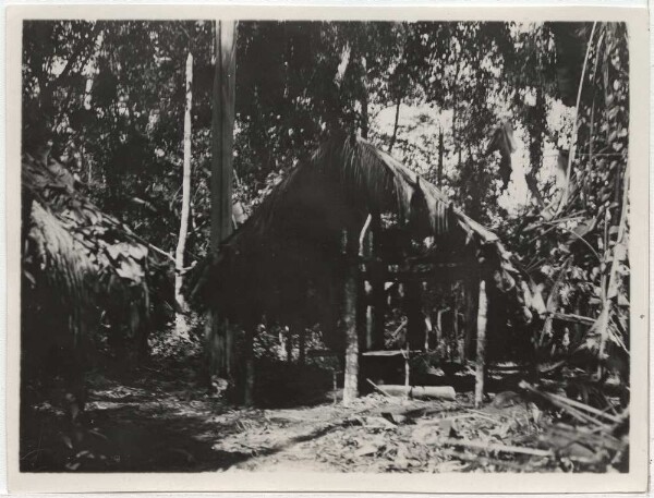 Barbado-Umotina hut in Masepo on the Alto Paraguay