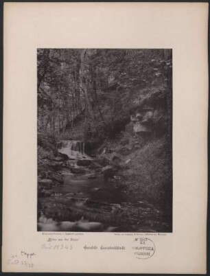 Gersfeld: Cascadenschlucht.