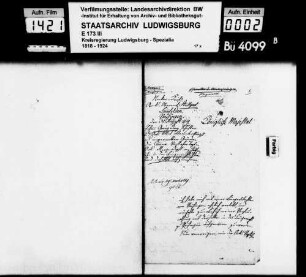 Gesuch des Schusters Johann Georg Renz von Leinfelden um bürgerliche Aufnahme in Vaihingen