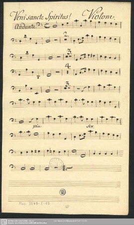Violone.