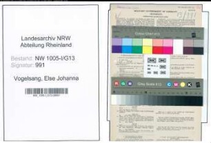 Entnazifizierung Else Johanna Vogelsang , geb. 29.07.1899 (Postassistentin)