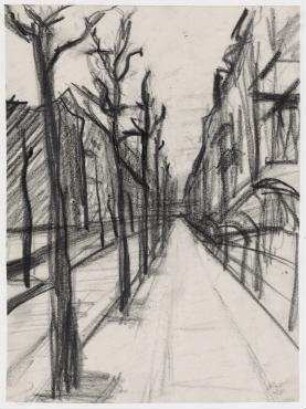 Strasse mit gestutzten Bäumen