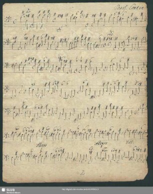 Bass[o]. Contin[uo]: [= b bez.]