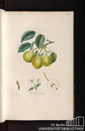 Pl. XXXIX. La Deschamps.