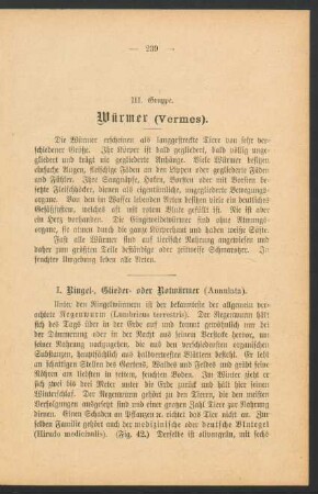 III. Gruppe: Würmer (Vermes).