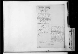Gnadengesuche wegen Urkundenfälschung, Betrug etc. (1883-1890)