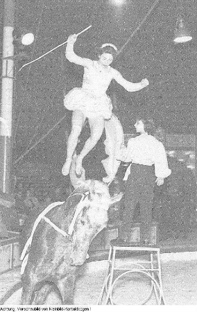 Dresden, Gastspiel des Zirkus Busch, Juni 1956