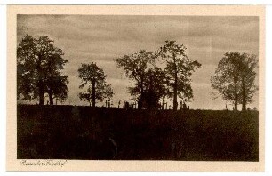 Nr. 254: Russischer Friedhof