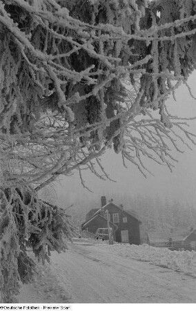 Schneelandschaft mit Wohnhäusern