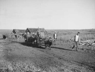 Gehöft der chinesischen Kernsiedlung zum japanischen Jugendlager (wahrscheinlich in der "Provinz des Schwarzen Drachenflusses") : Ansicht von einem Feldweg mit Ochsenkarren und Jugendlichen