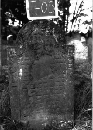Grabstein 703 (Index: 100104842) Material: Sandstein Zustand: stark verwittert mit Textverlust Maße HxBxT: 100x54x8 cm Beschreibung: Stele, eingezogener Rundbogenabschluss, Schriftfeld mit Konvexbogenabschluss, im Bogenfeld Blüte, auf den seitlichen Rahmen geometrisches Ornament Symbolik: Blüte: Grabstein 703