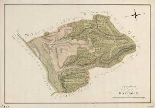 Topographischer Plan von Hauingen