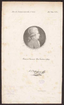 Jussieu, Antoine Laurent de
