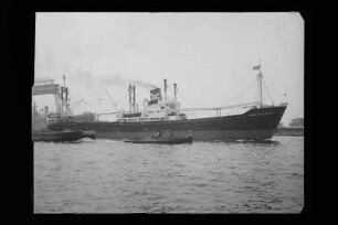 Magdalena Reith (1959), Orion, Hamburg