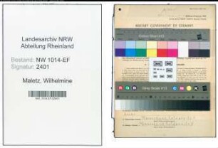 Entnazifizierung Wilhelmine Maletz , geb. 27.01.1897 (Lehrerin)