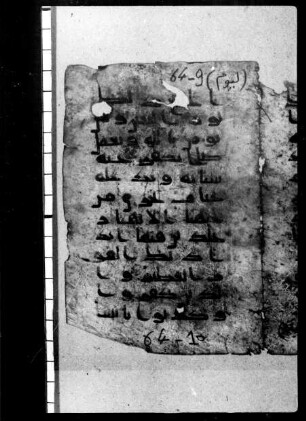 al- Qurʾān [DAM 12-7.1]