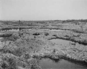 Tagebau Leipnitz. Seidewitz-Bruchfeld