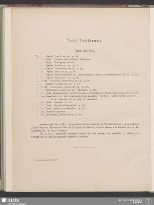Tafel-Erklärung: Tafel XXVIII