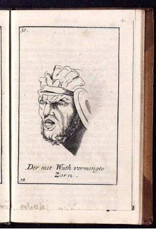 Der mit Wuth vermengte Zorn.