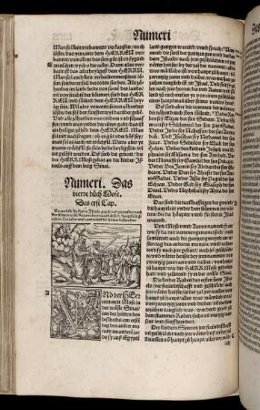 Numeri das vierdt Buch Mose