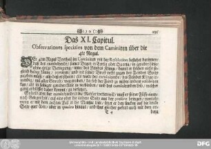 Das XI. Capitul. Observationes speciales von dem Caminiren über die 4te Regul.