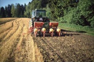 Fotografie: Mulchsaat, Mais, Einzelkornsämaschine