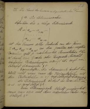 III Die Theorie der linearen und quadratischen Formen.
