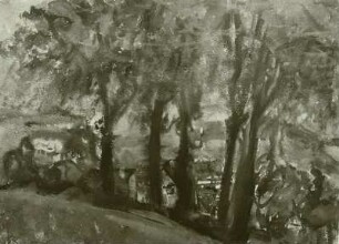 Blick auf Klingenberg