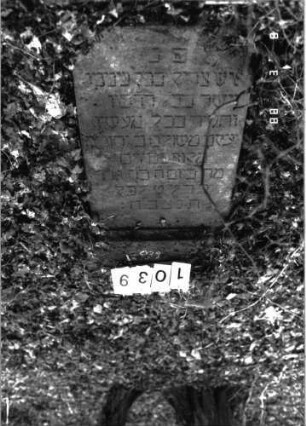 Grabstein 1039