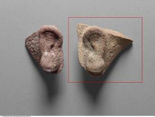 Fragment eines linken Ohres einer Statue