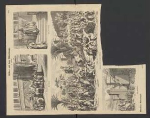 Bilder aus dem Alterthume, 1: Assyrien