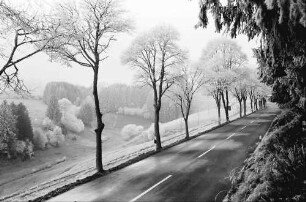 Kappel: Straße Neustadt-Lenzkirch im Raureif