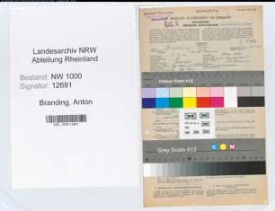 Entnazifizierung Anton Branding, geb. 13.04.1903 (Bankangest.)