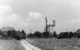 Hirschstein-Pahrenz. Holländermühle