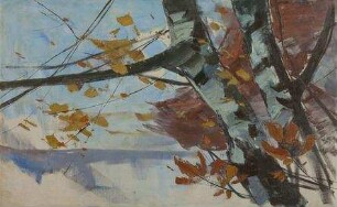 Herbst (Birken am See)
