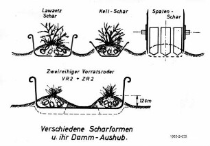Rodeschare von Kartoffelrodern