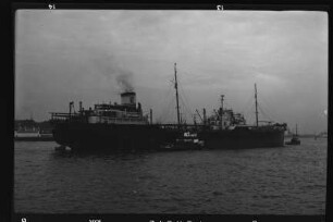 Stephanitor (1938), Schlüssel Reed., Bremen