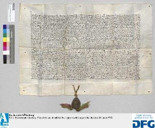 Herzog Rudolf von Sachsen als ein Kurfürst des Heiligen Römischen Reichs gibt seine Zustimmung zu den Gnadenbriefen Kaiser Karls für die Stadt Nürnberg vom 5. April 1355 (SS/C Nr. 25), 25. Oktober 1358 (SS/C Nr. 29) und 27. Oktober 1358 (SS/C Nr. 34), die Verhältnisse des Reichswaldes bei Nürnberg betreffend. - Siegler: der Aussteller.