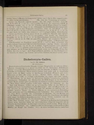 Dichelomyia-Gallen.