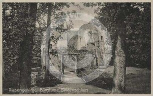 Burgruine Bolzenschloss bei Jannowitz