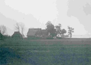 Außendeich an der Elbe bei Wewelsfleth am 17.05.1914.