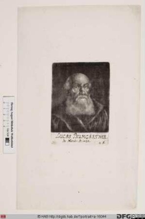 Bildnis Lucas Paumgartner