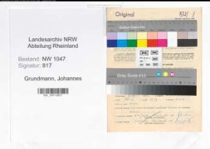 Entnazifizierung Johannes Grundmann , geb. 08.04.1901 (Vertreter)